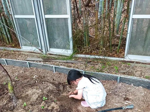 畑の土に触れる子ども